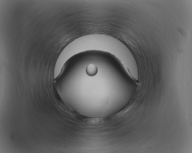 X0000116590096200912291316