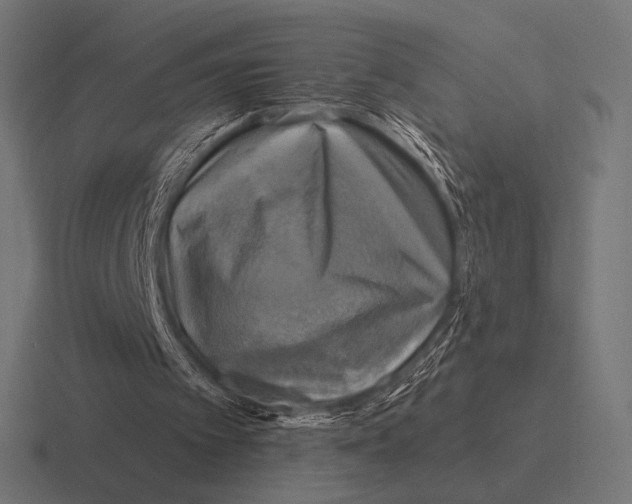 X0000116590097200912291316