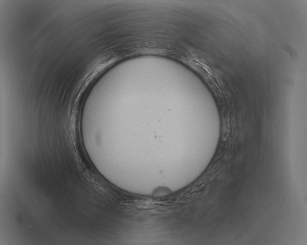 X0000116590098200912291316