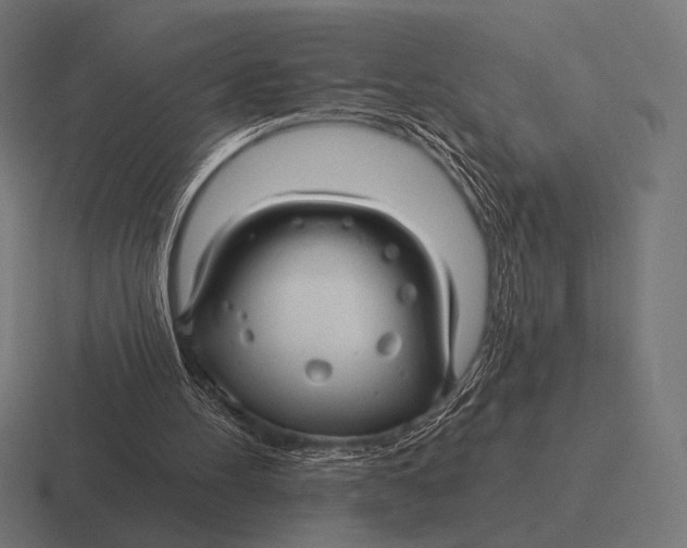 X0000116590100200912291316