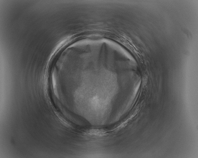 X0000116590101200912291316