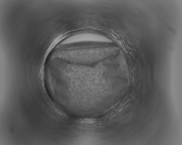 X0000116590102200912291316