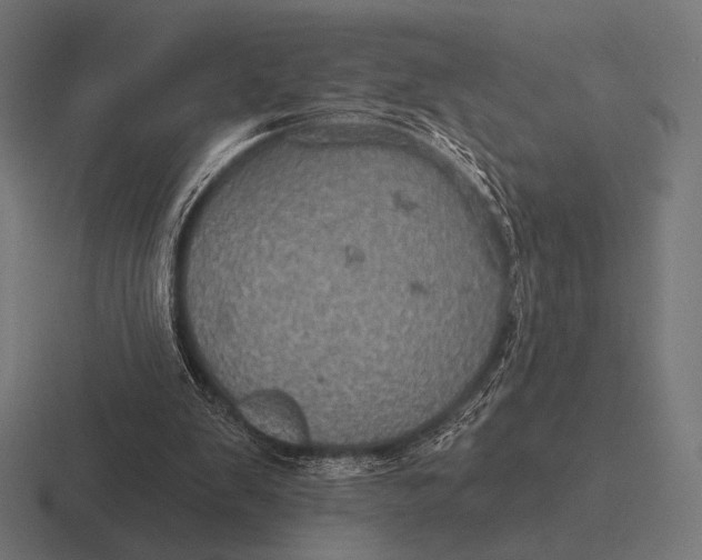 X0000116590103200912291316