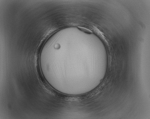 X0000116590106200912291316