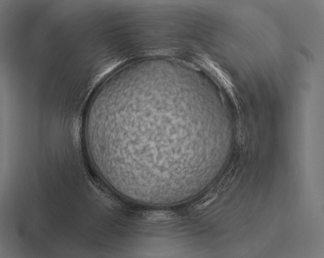 X0000116590107200912291316