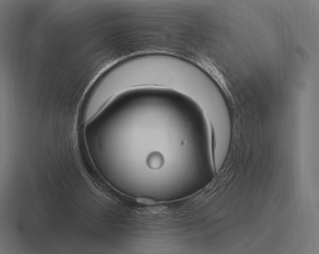 X0000116590108200912291316