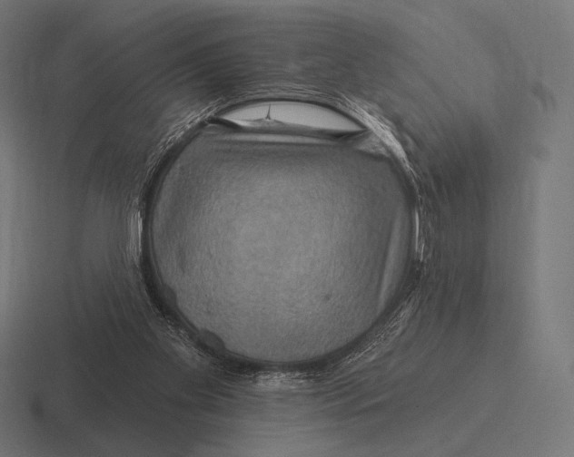 X0000116590109200912291316