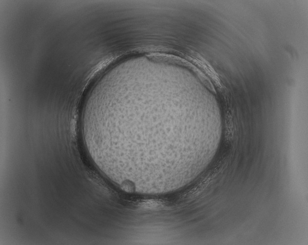 X0000116590111200912291316