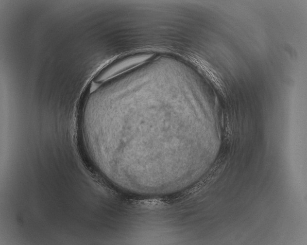 X0000116590112200912291316