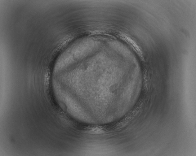 X0000116590113200912291316