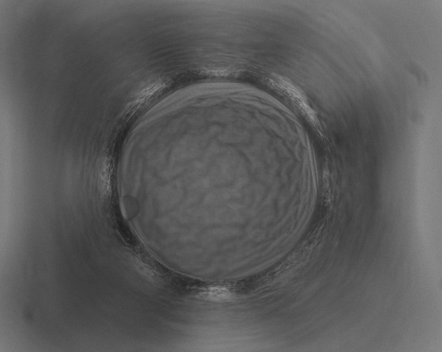 X0000116590114200912291316