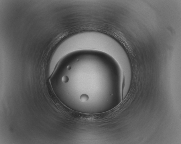 X0000116590116200912291316