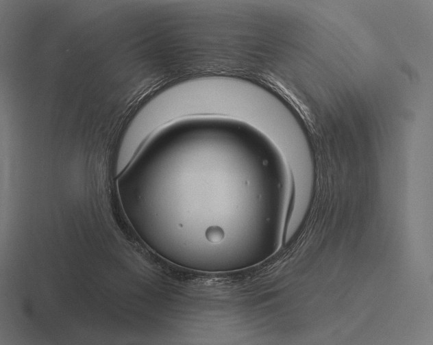 X0000116590117200912291316