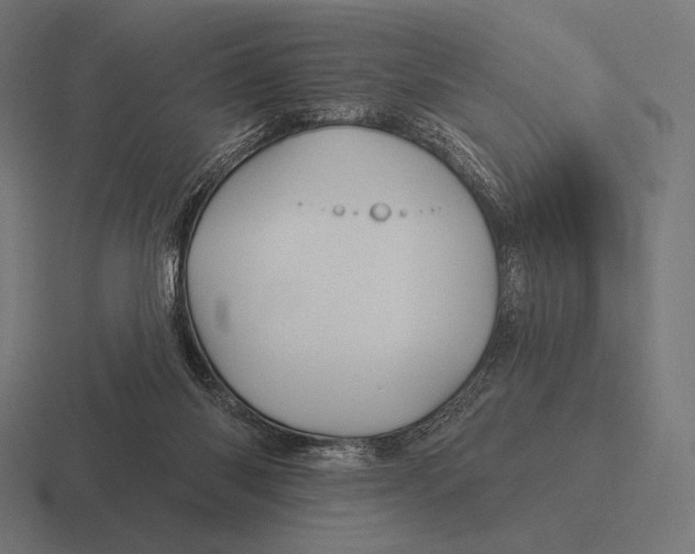 X0000116590118200912291316