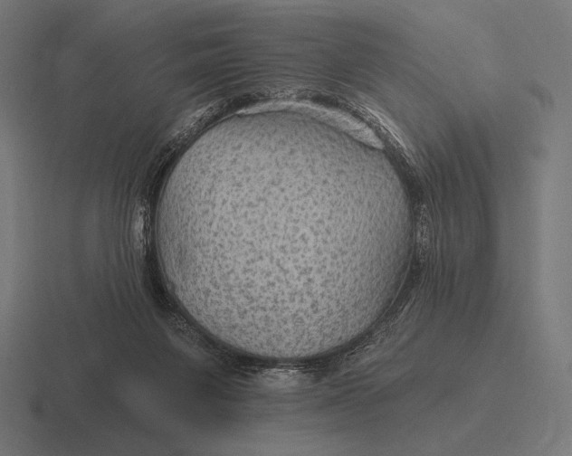 X0000116590119200912291316