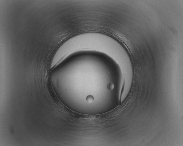 X0000116590121200912291316