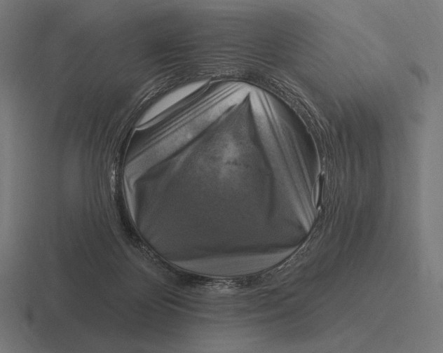 X0000116590124200912291316