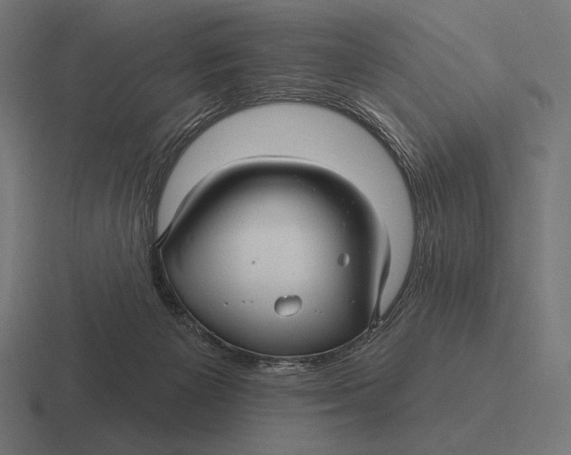 X0000116590125200912291316