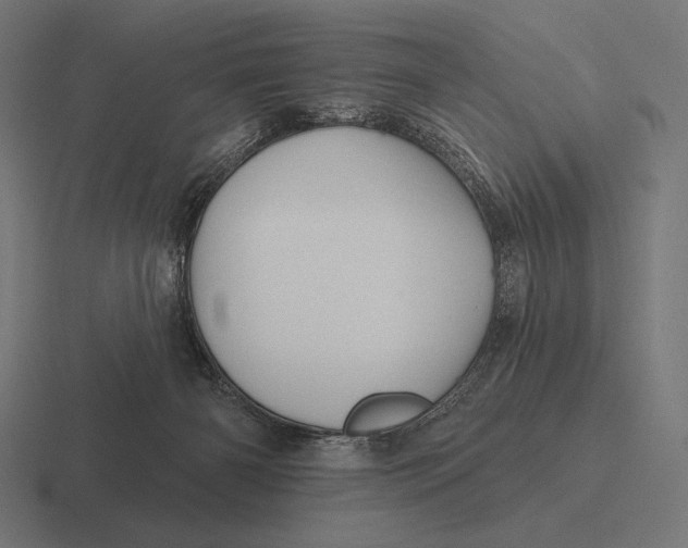 X0000116590126200912291315