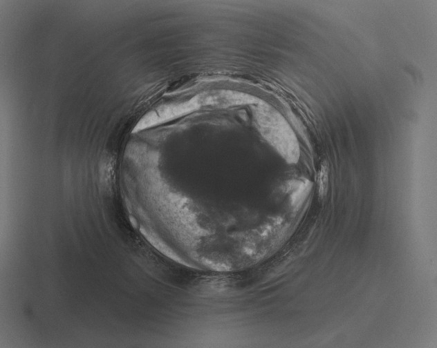 X0000116590127200912291315