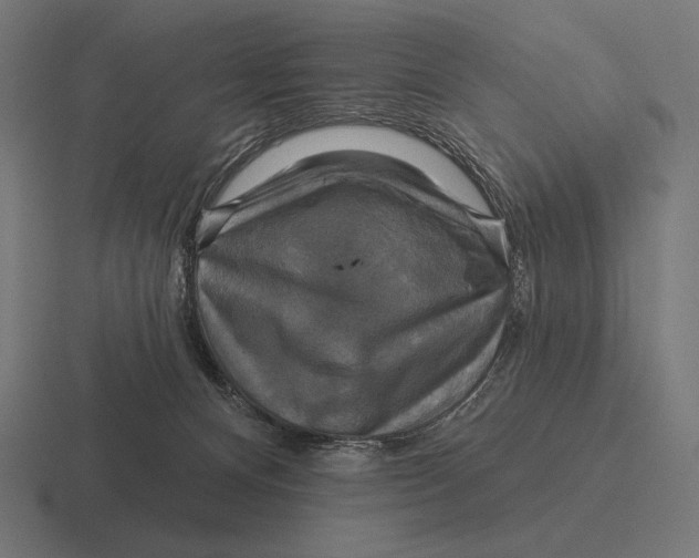 X0000116590128200912291315