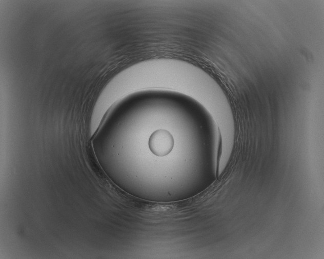 X0000116590129200912291315