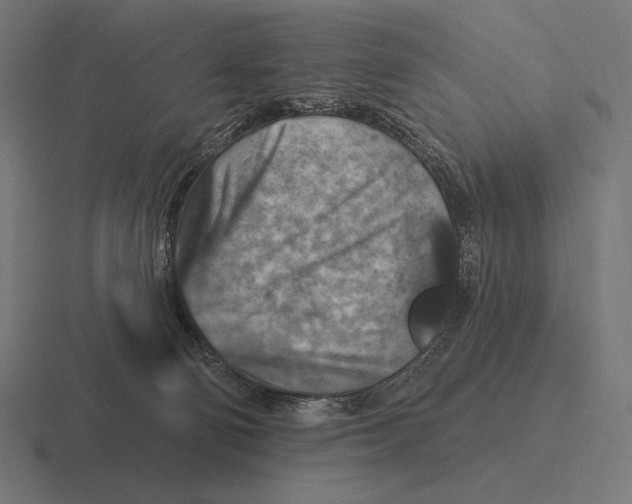 X0000116590130200912291315