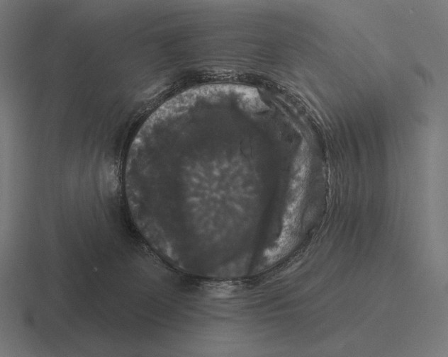 X0000116590131200912291315