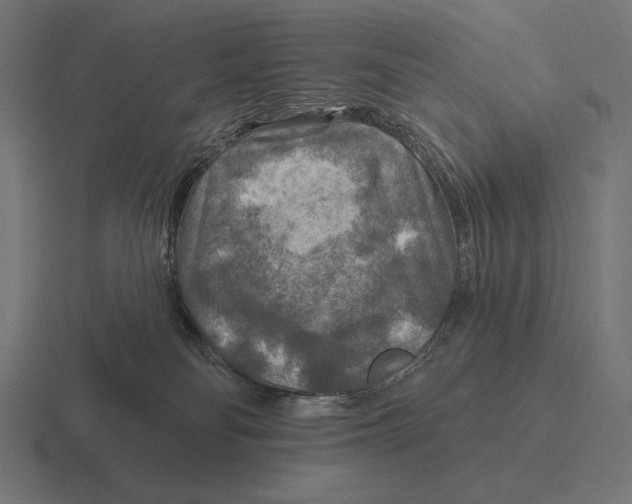 X0000116590134200912291315