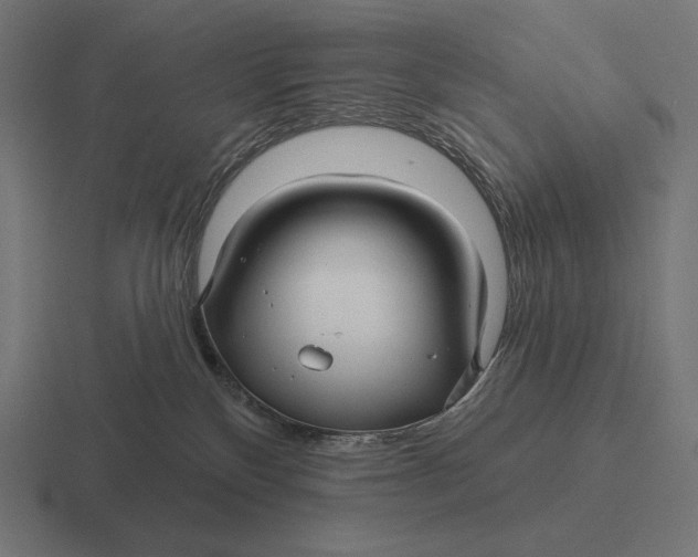 X0000116590136200912291315