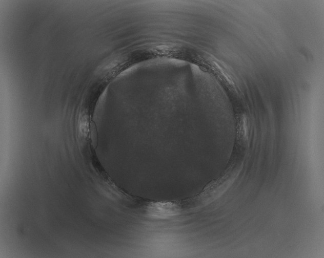 X0000116590137200912291315