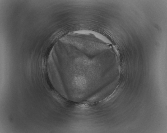 X0000116590140200912291315