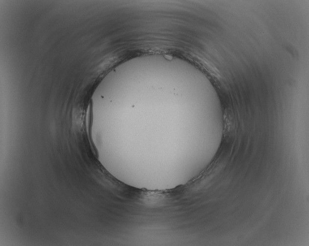 X0000116590141200912291315