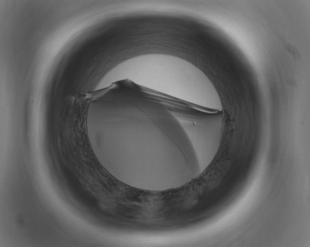 X0000116590143200912291315