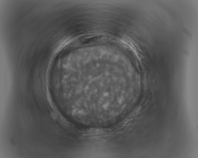 X0000116590145200912291315