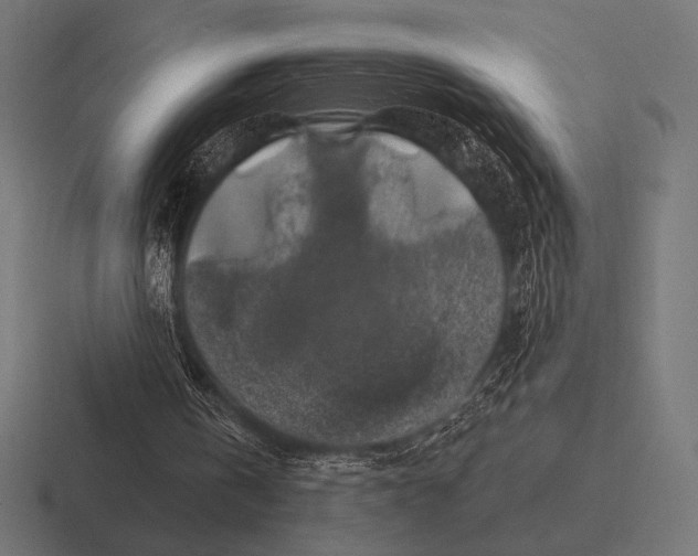 X0000116590146200912291315