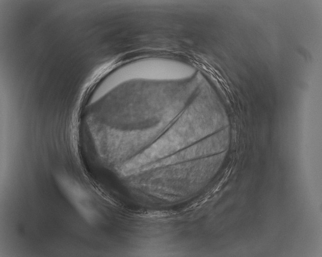 X0000116590149200912291315