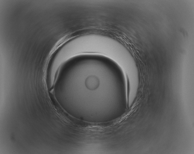 X0000116590150200912291315