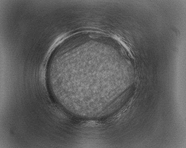 X0000116590151200912291315