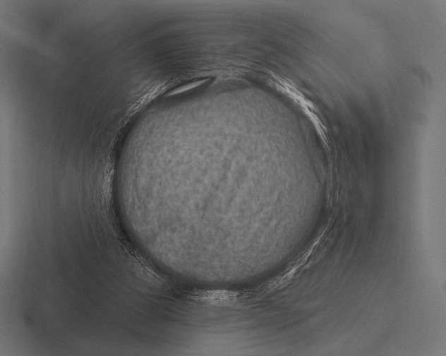 X0000116590153200912291315