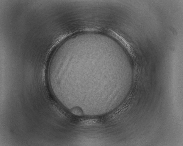 X0000116590155200912291315