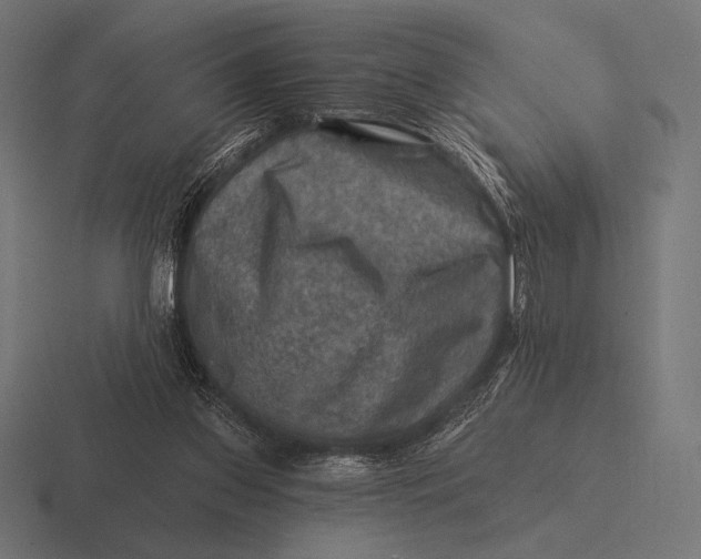 X0000116590157200912291315