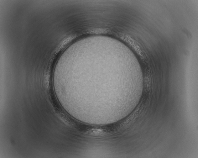 X0000116590159200912291315