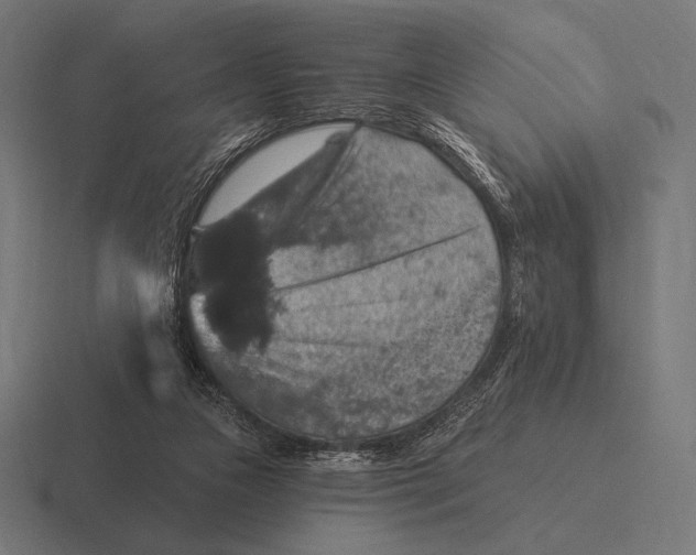 X0000116590161200912291315