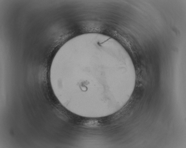 X0000116590162200912291315