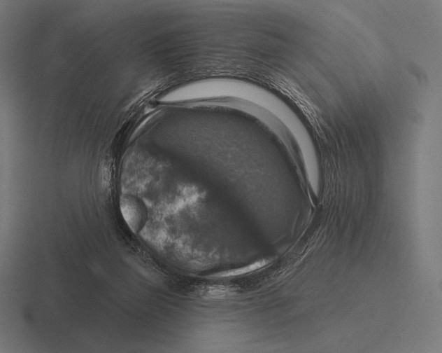 X0000116590165200912291315