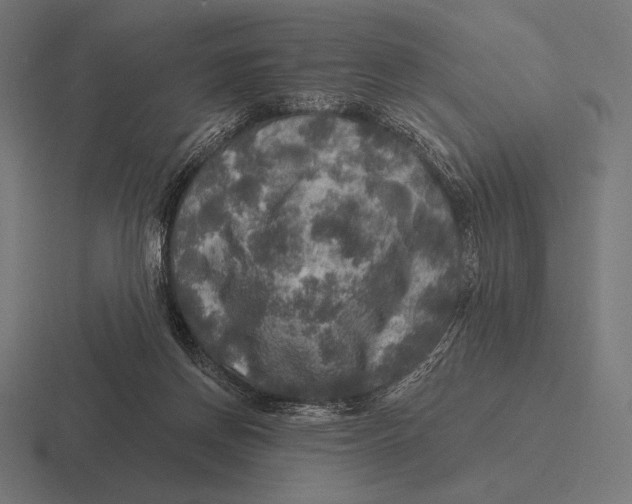 X0000116590166200912291315