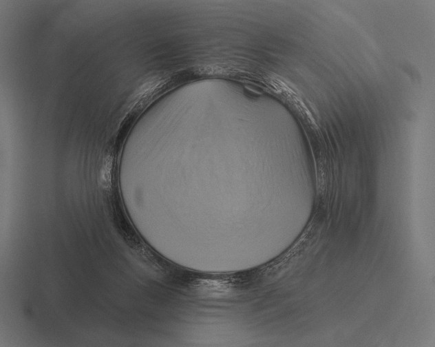 X0000116590167200912291315