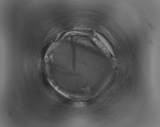 X0000116590169200912291315