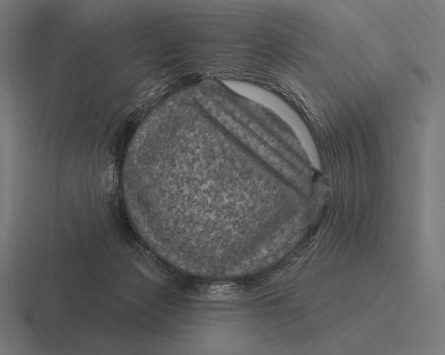 X0000116590173200912291315